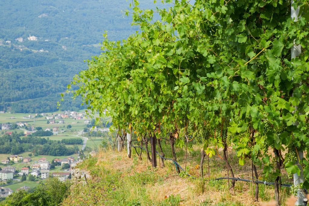 B&B Ca' La Vedescia Teglio Zewnętrze zdjęcie
